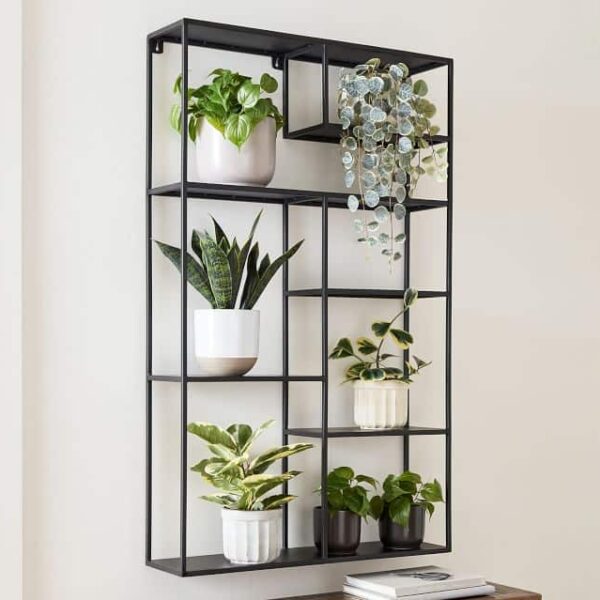 Skyler Wall Display Shelf