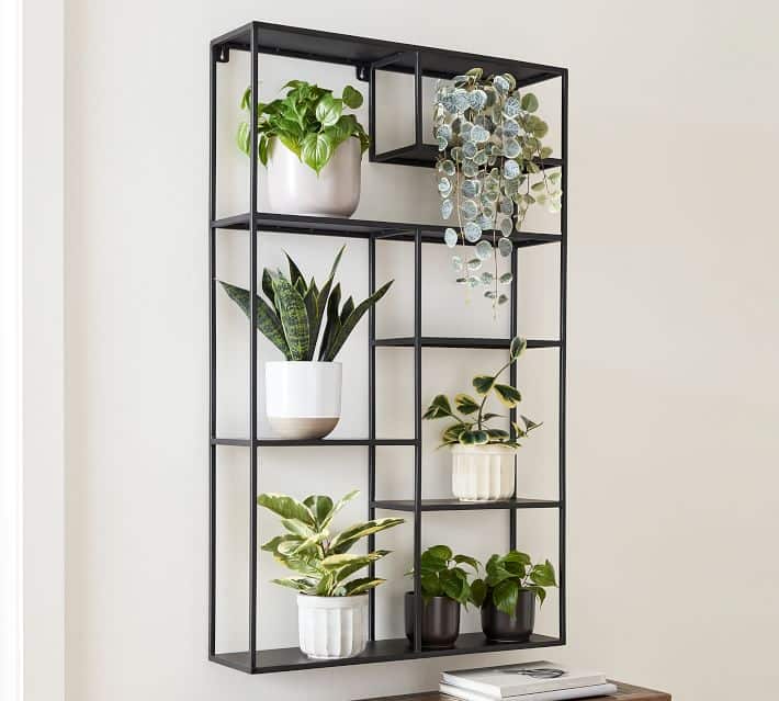 Skyler Wall Display Shelf